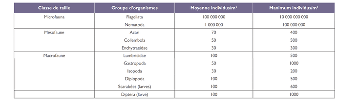 Tableau 1 : Abondance des groups d’invertébrés les plus importants en région tempérée (principalement en forêt), valeurs moyennes et maximales. Extrait de l’Atlas de la biodiversité