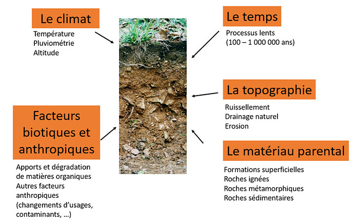 Figure 1. Facteurs influençant la formation des sols. Source : Adapté de Brauman, JMS 2021.